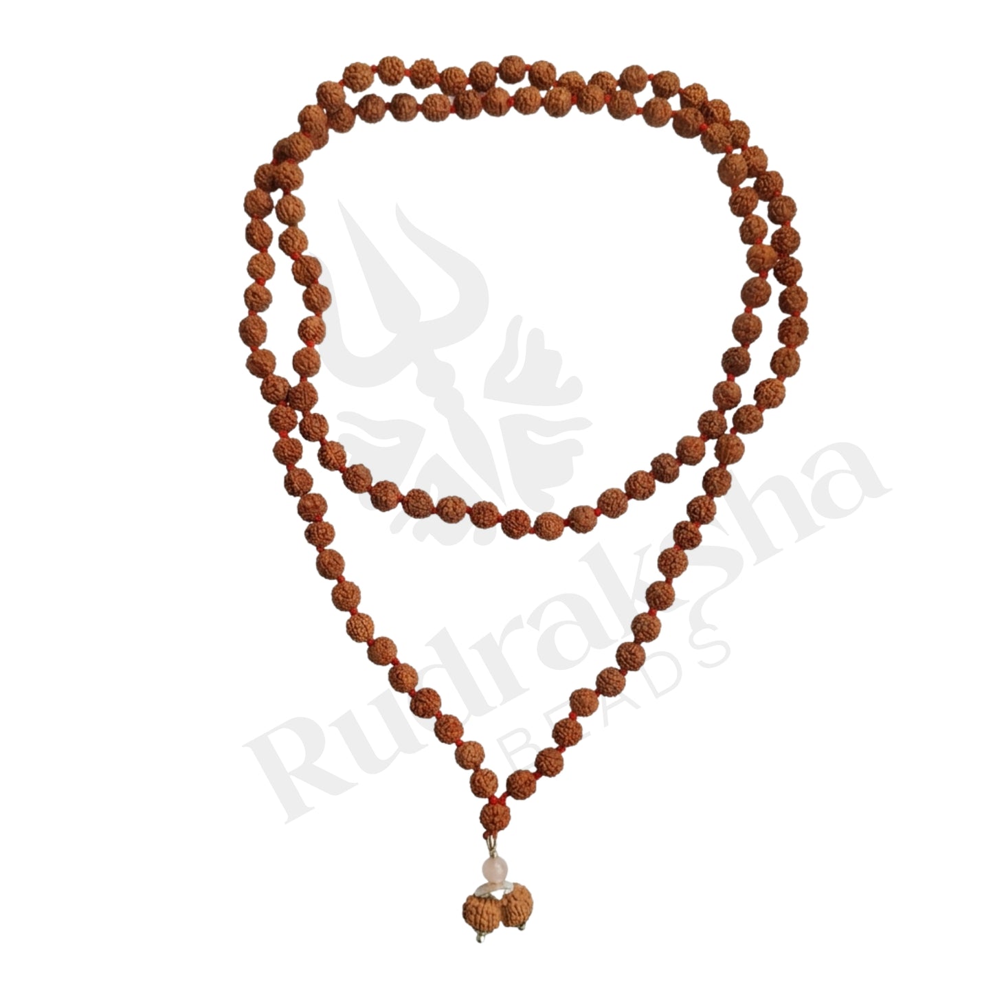 Union Gauri Shankar Rudraksha Mala (Indonesia)