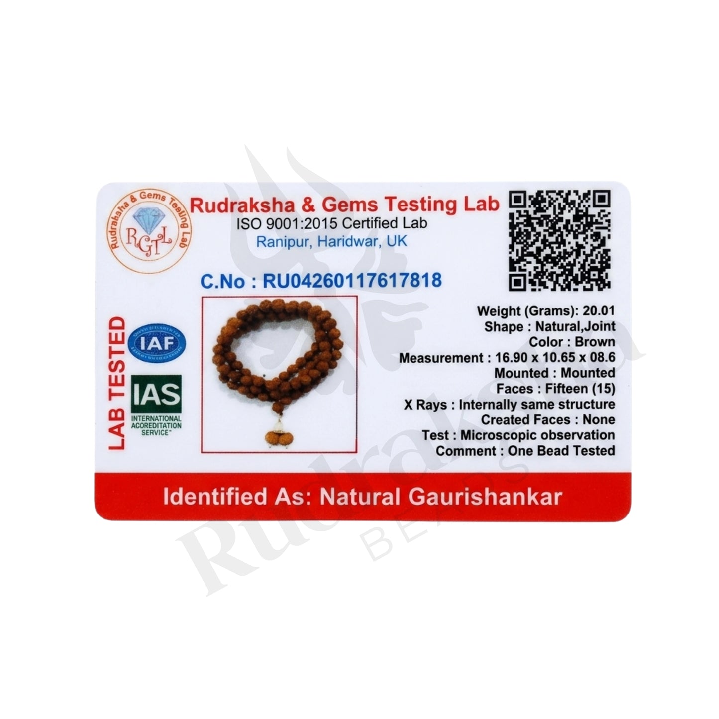 Union Gauri Shankar Rudraksha Mala (Indonesia)