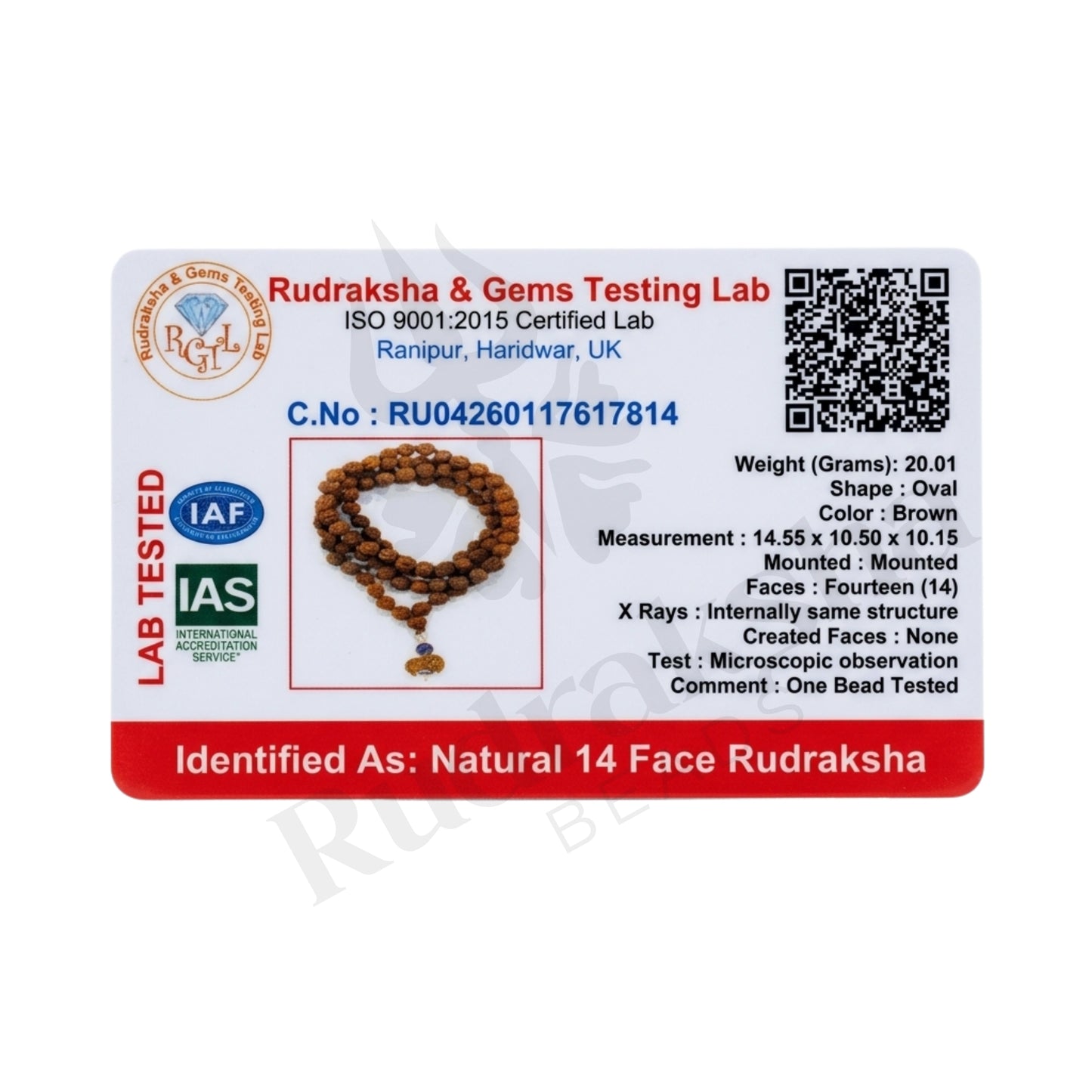 Insight 14 Mukhi Rudraksha Mala (Indonesia)