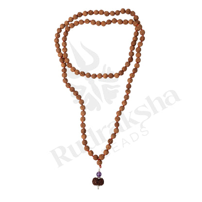 Insight 14 Mukhi Rudraksha Mala (Indonesia)