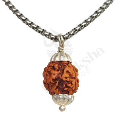 3 Mukhi Rudraksha (Three-Faced Rudraksha) Nepali
