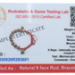 9 Mukhi Bracelet