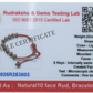 10 Mukhi Rudraksha Bracelet