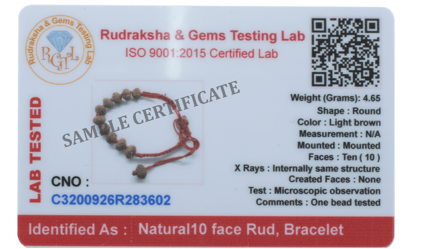 10 Mukhi Rudraksha Bracelet