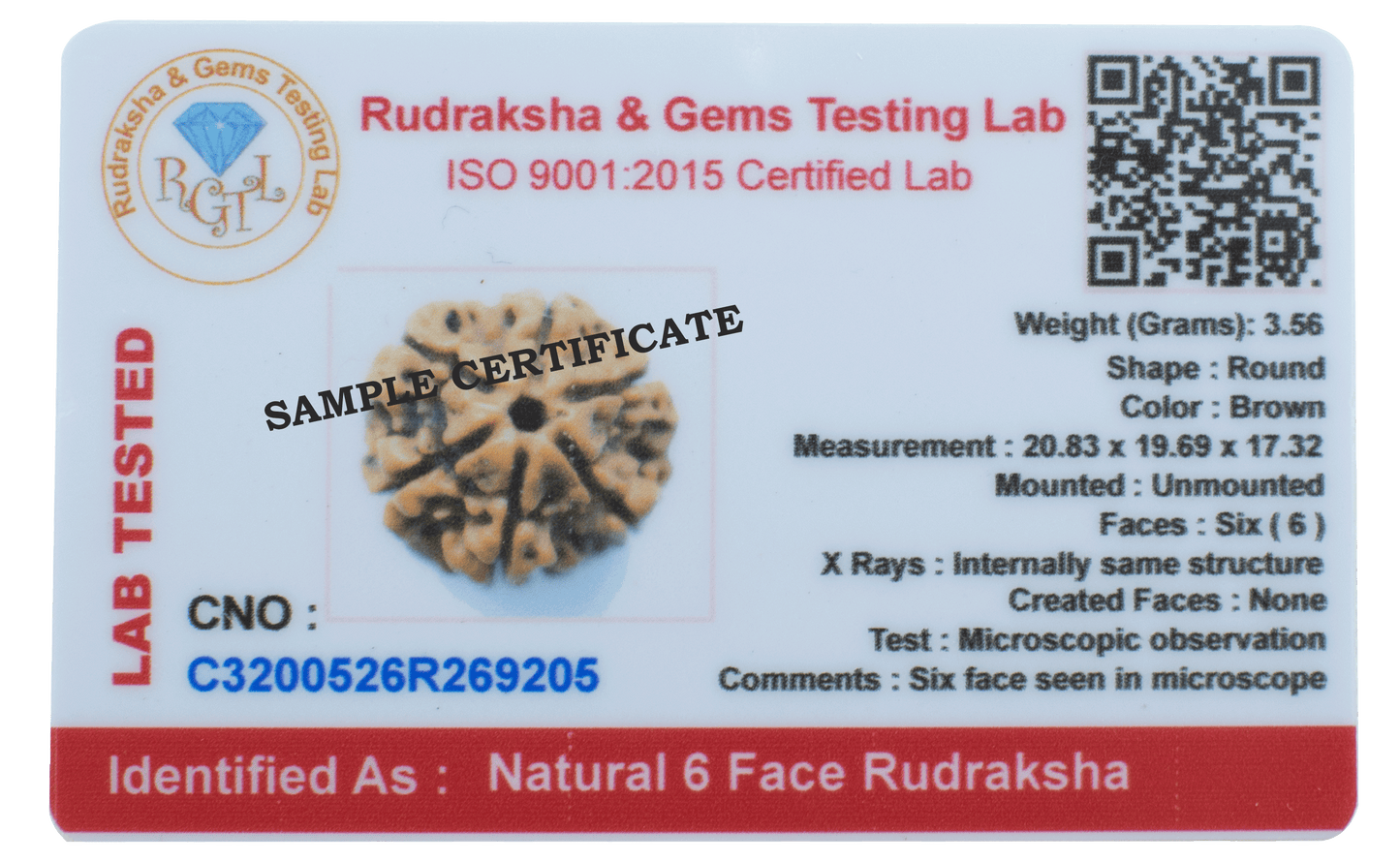 6 mukhi LOOSE BEAD