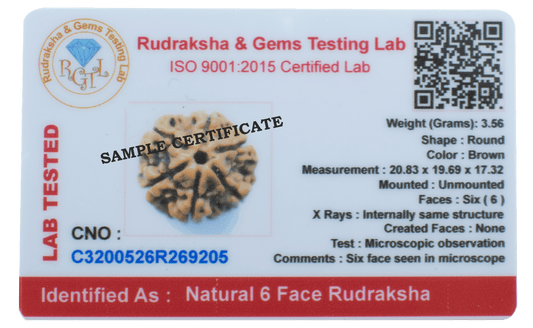 6 mukhi LOOSE BEAD