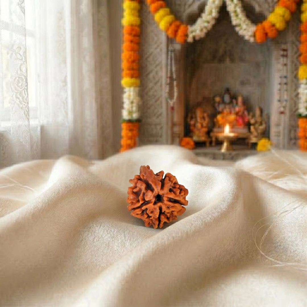 Ganesh Rudraksha Nepali