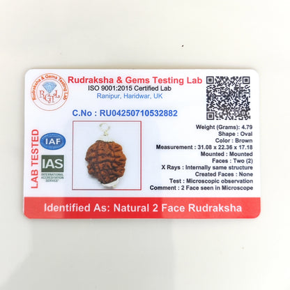 2 Mukhi Rudraksha (Two-Faced Rudraksha) South Indian