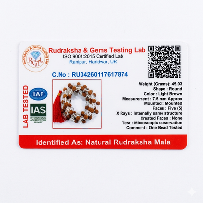 Rudraksha Sphatik Mala | Balance