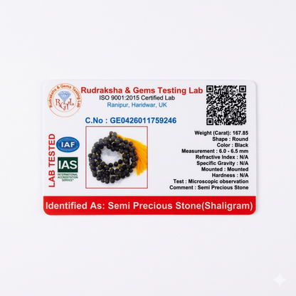 Shaligram Mala | Blessings