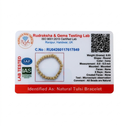 Tulsi – Tulsi Divya Raksha Bracelet