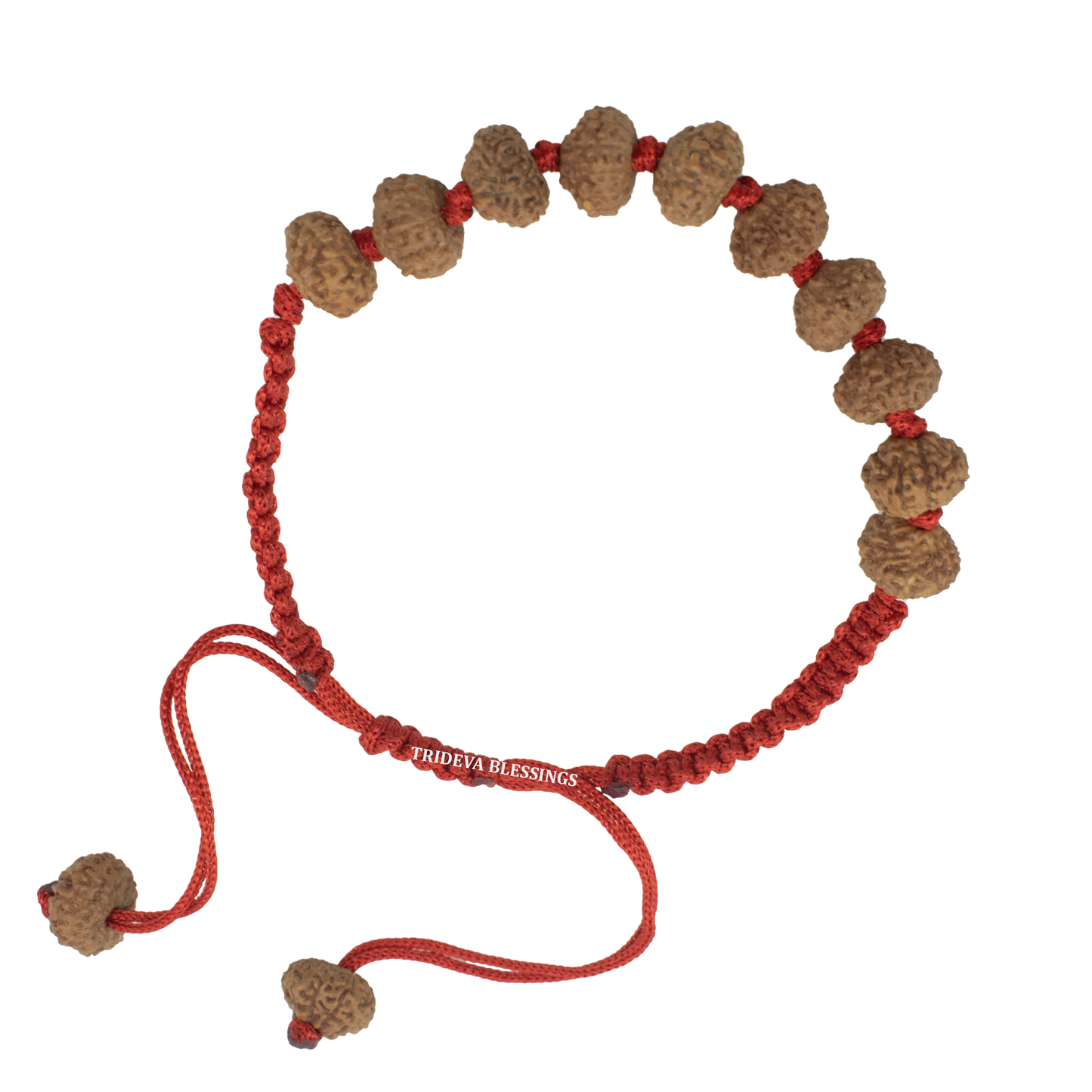 10 Mukhi Rudraksha Bracelet