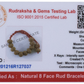 Natural 8 Mukhi Rudraksha Bracelet