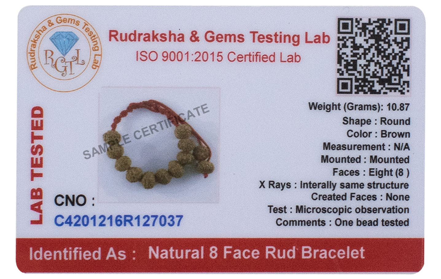Natural 8 Mukhi Rudraksha Bracelet