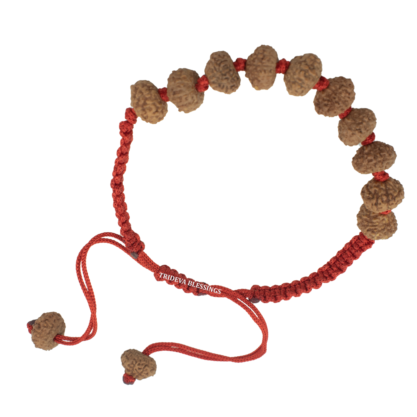 10 Mukhi Rudraksha Bracelet
