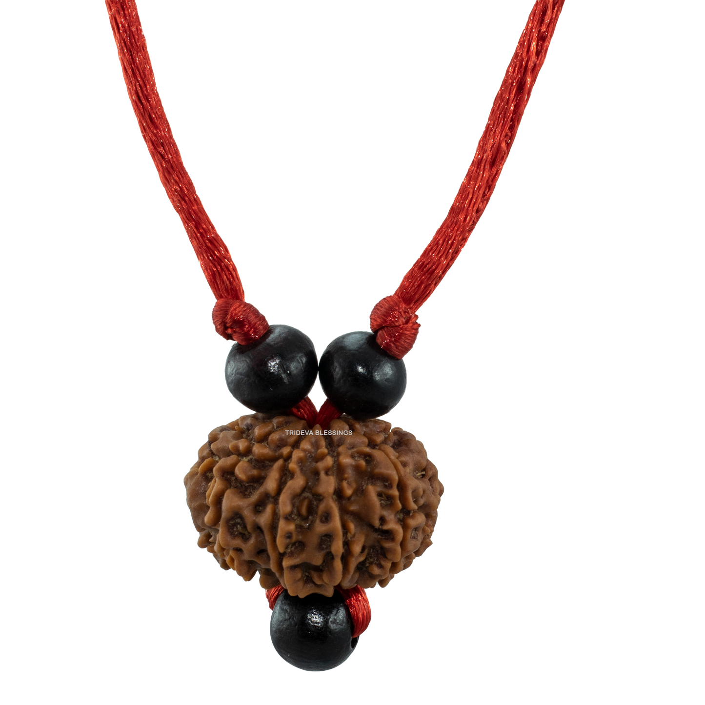 10 Mukhi Rudraksha Pendant