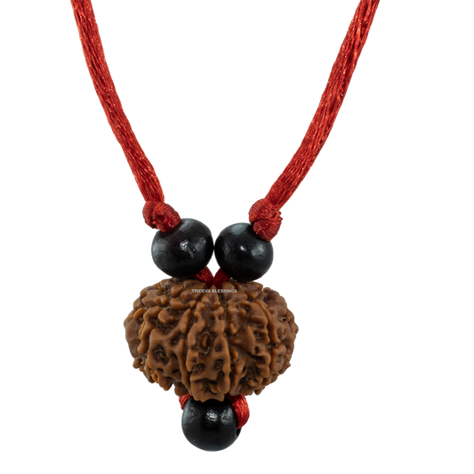 10 Mukhi Rudraksha Pendant
