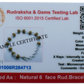 6 MUKHI SILVER BRACELET