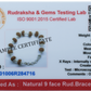 9 Mukhi Rudraksha Silver Bracelet