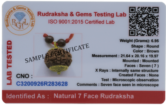 7 Mukhi Golden Cap