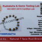 7 Mukhi Silver Bracelet