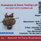 10 Mukhi Rudraksha Pendant