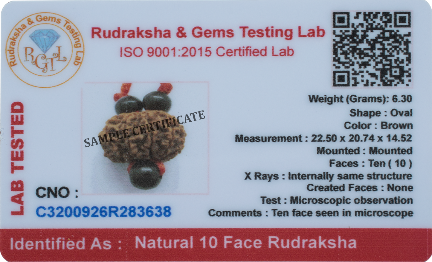 10 Mukhi Rudraksha Pendant