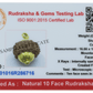 Natural 10 Mukhi Rudraksha Pendant