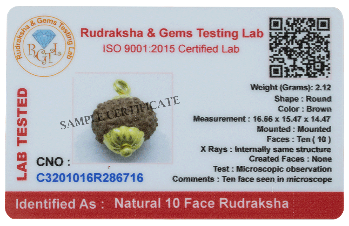 Natural 10 Mukhi Rudraksha Pendant