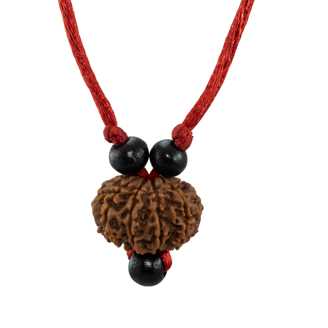 10 Mukhi Rudraksha Pendant