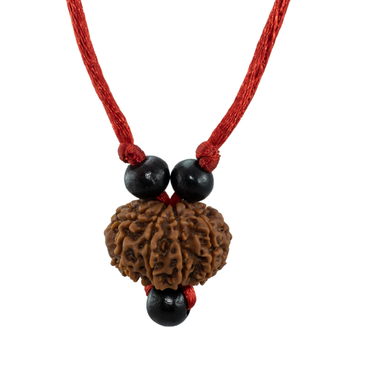 10 Mukhi Rudraksha Pendant