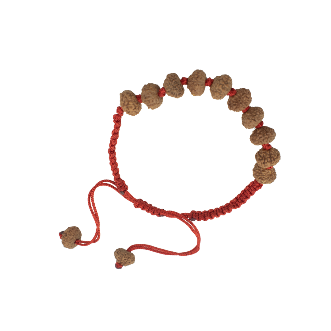 10 Mukhi Rudraksha Bracelet