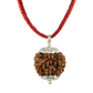 6 MUKHI SILVER PENDANT
