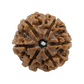 6 mukhi LOOSE BEAD