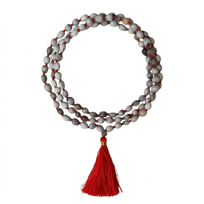 Vaijayanti Mala | Victory