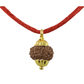 Natural 10 Mukhi Rudraksha Pendant