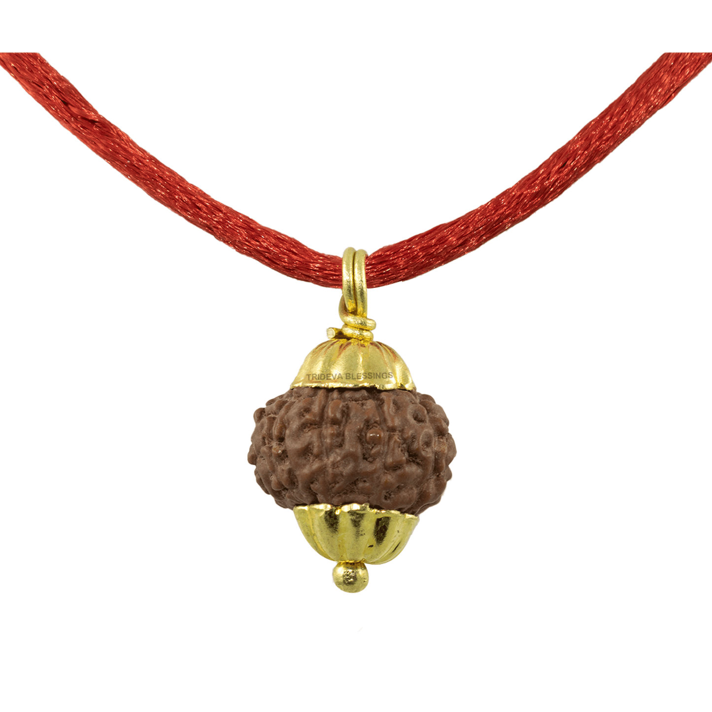 Natural 10 Mukhi Rudraksha Pendant