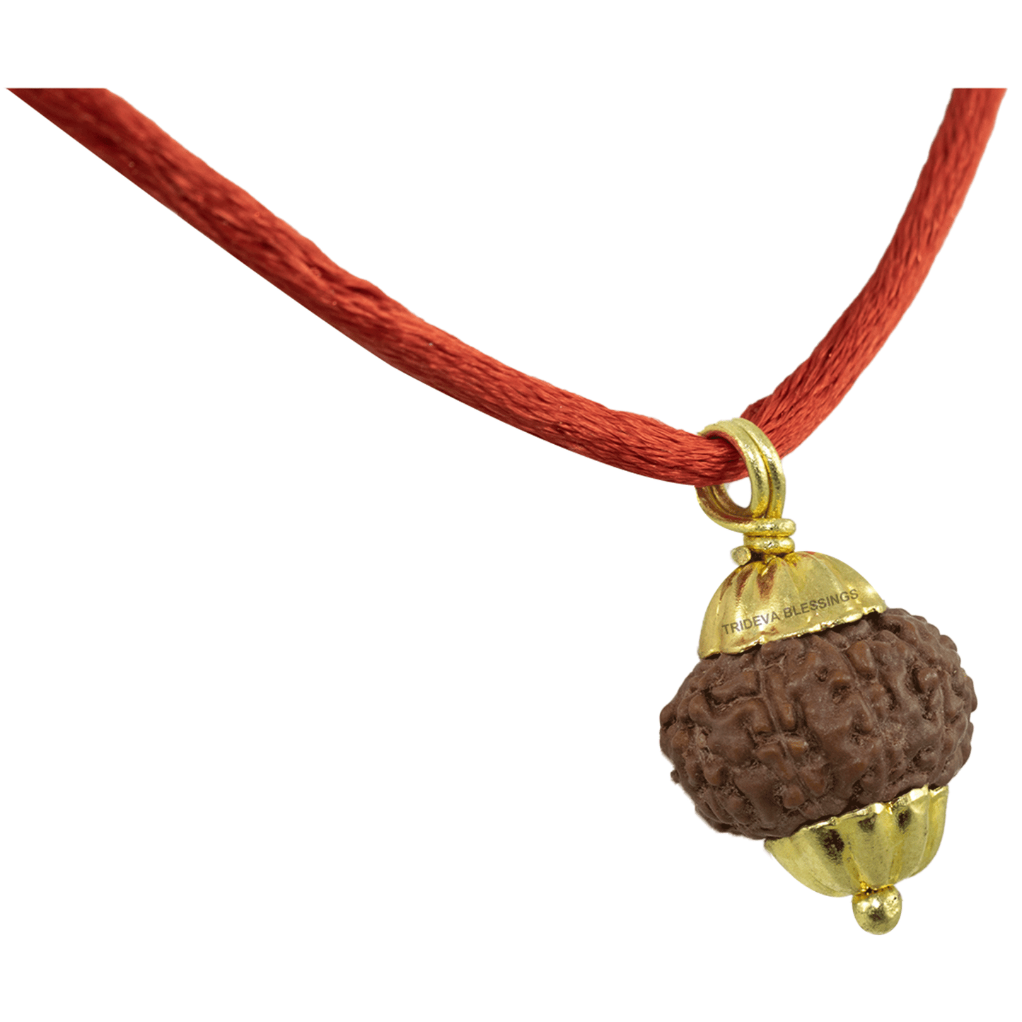 Natural 10 Mukhi Rudraksha Pendant