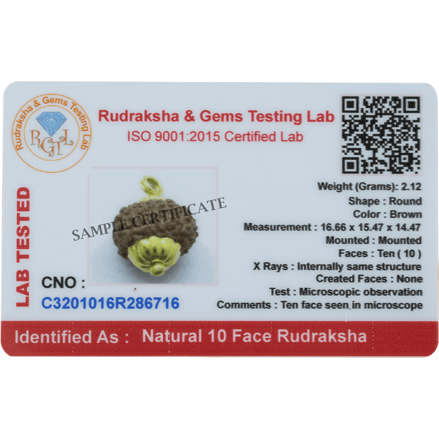 Natural 10 Mukhi Rudraksha Pendant