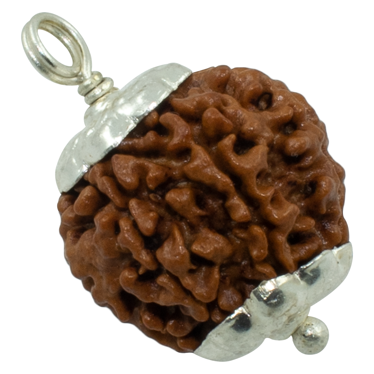 6 MUKHI SILVER PENDANT