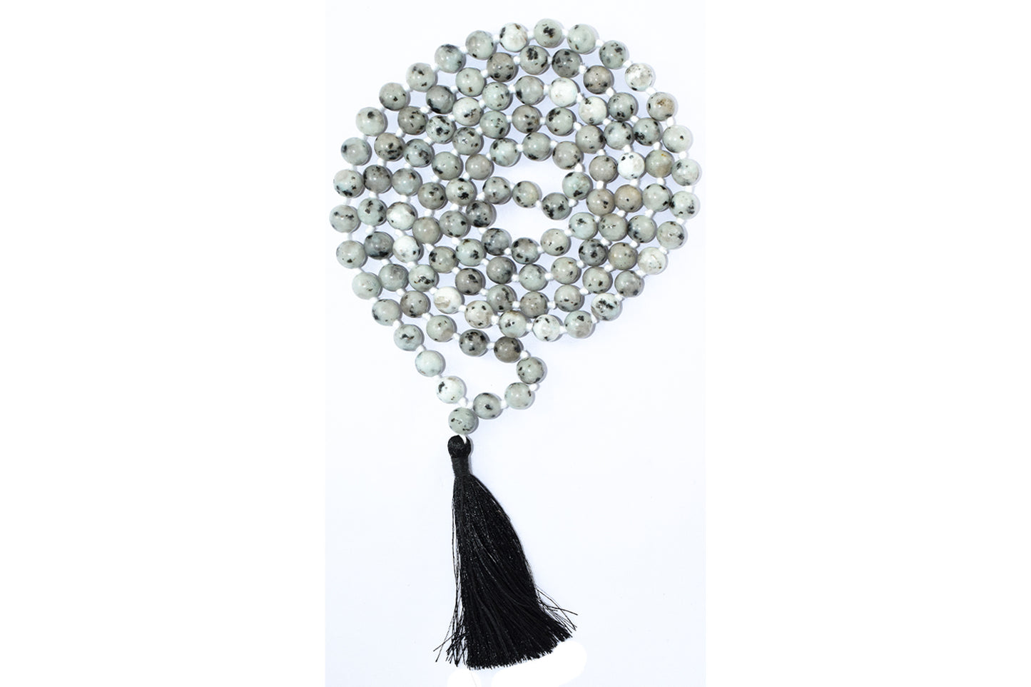 Kiwi Jasper Mala