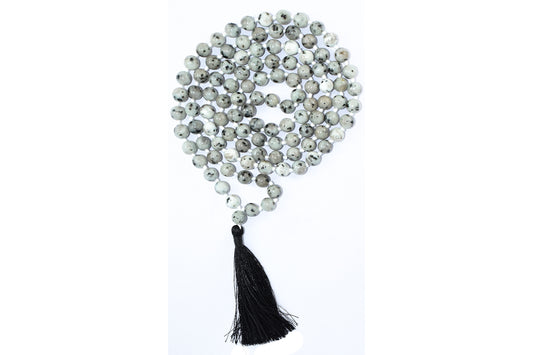 Kiwi Jasper Mala