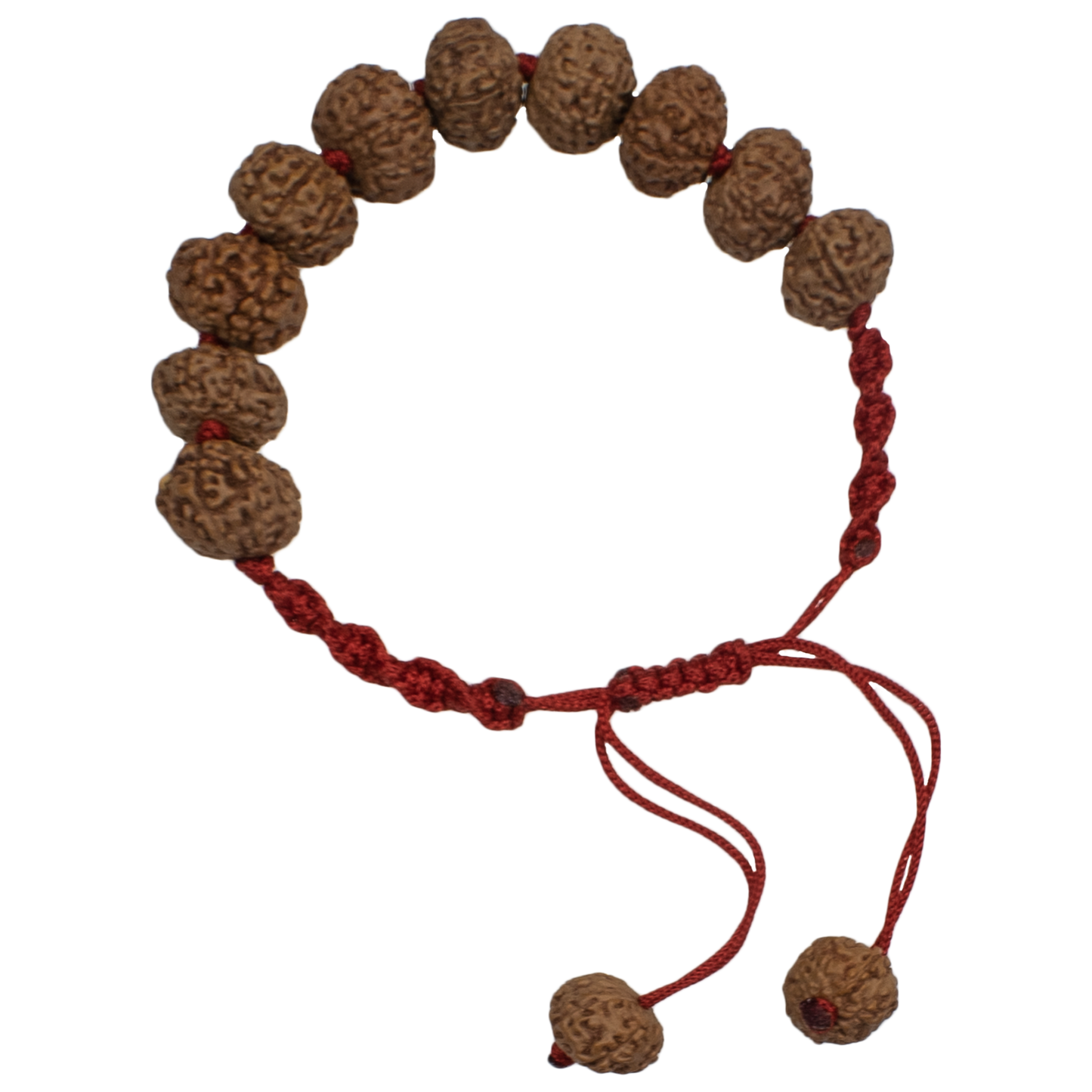 Natural 8 Mukhi Rudraksha Bracelet