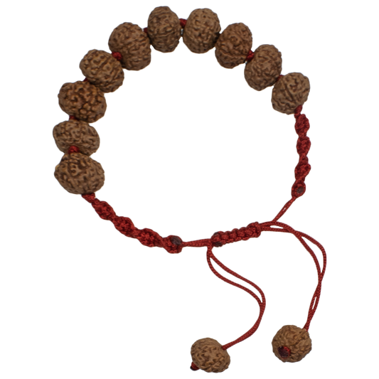 Natural 8 Mukhi Rudraksha Bracelet