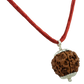 6 MUKHI SILVER PENDANT