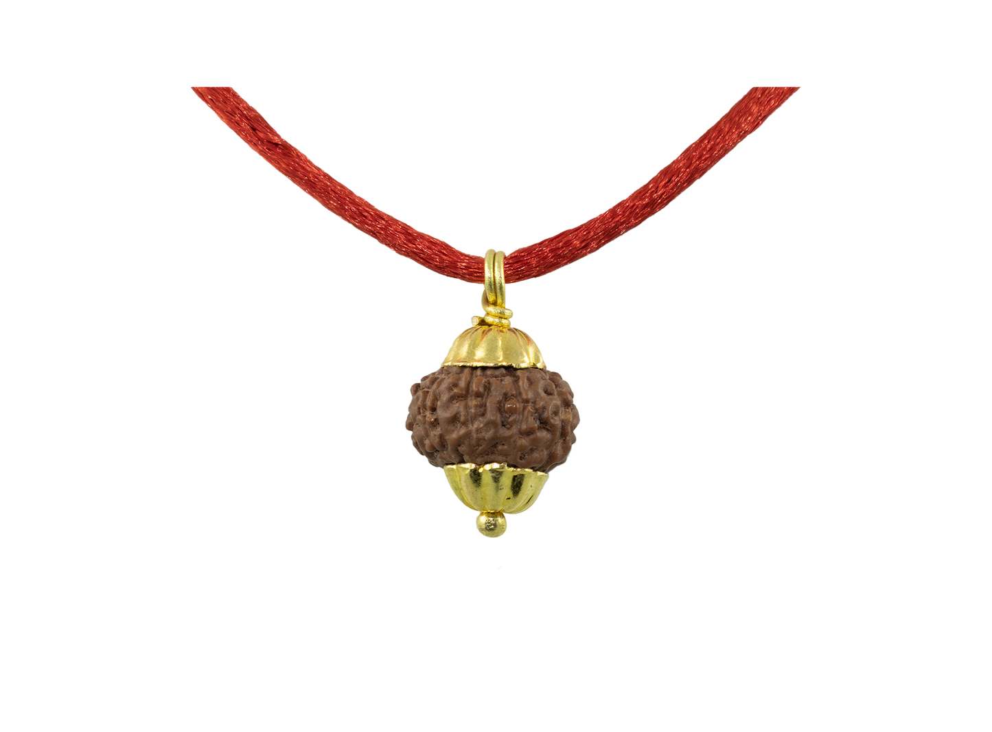 Natural 10 Mukhi Rudraksha Pendant
